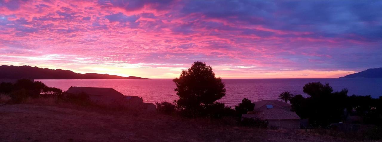 Le Panoramic Saint-Florent (Corsica) Exterior foto