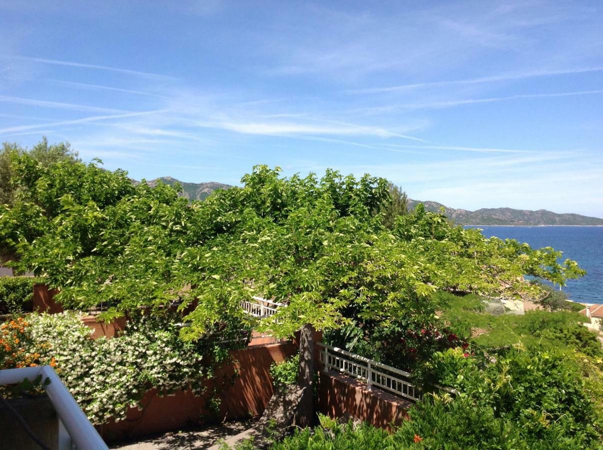 Le Panoramic Saint-Florent (Corsica) Exterior foto
